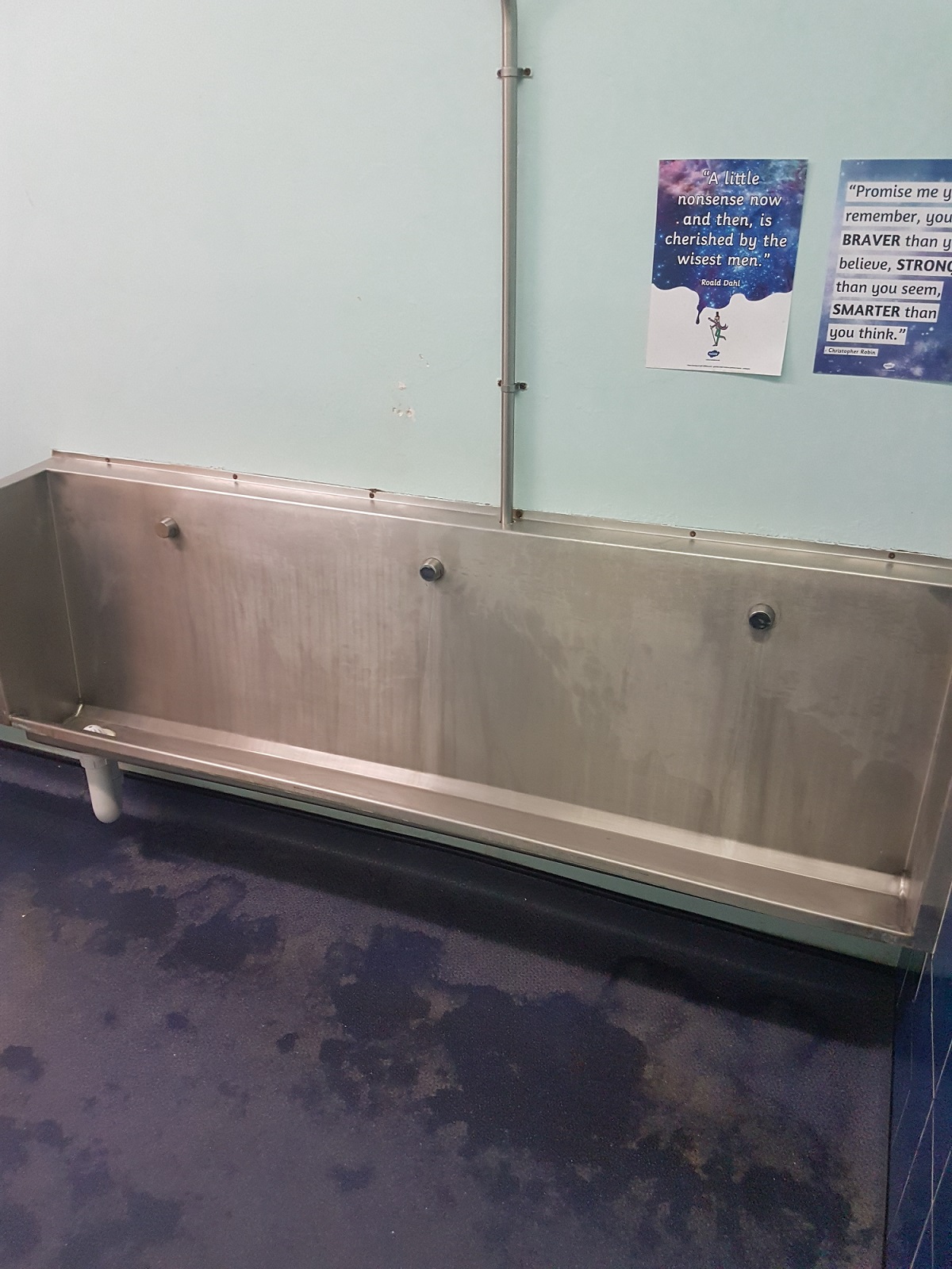 Sparkling new School Toilets